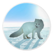 Arctic Fox Keramische Knop (Voorkant)