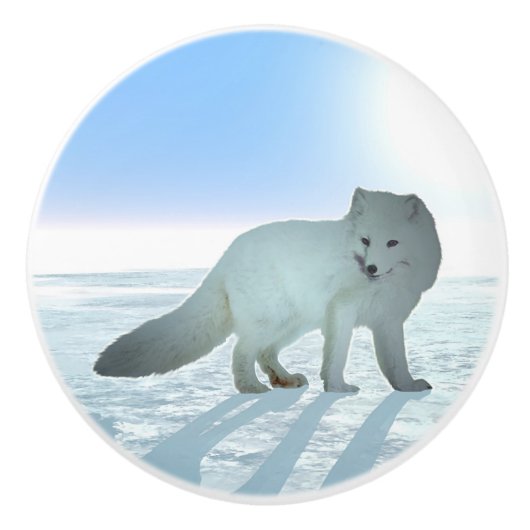 Arctic Fox Keramische Knop (Voorkant)