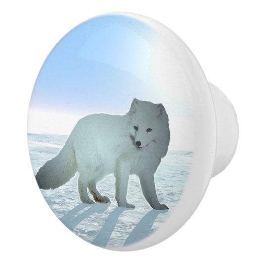 Arctic Fox Keramische Knop (Rechts)