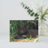 Arctic Fox Kit Wildlife Series # 19 Briefkaart (Staand voorkant)