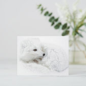 Arctic Fox kromp in de winter Briefkaart (Staand voorkant)