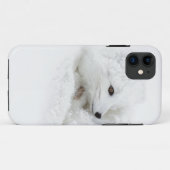 Arctic Fox kromp in de winter Case-Mate iPhone Case (Achterkant (horizontaal))