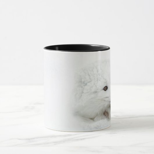 Arctic Fox kromp in de winter Mok (Midden)