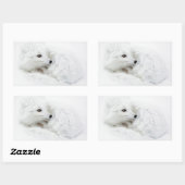 Arctic Fox kromp in de winter Rechthoekige Sticker (Vel)