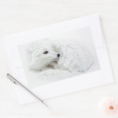 Arctic Fox kromp in de winter Rechthoekige Sticker (Envelop)