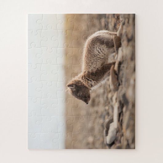 Arctic Fox Legpuzzel (Verticaal)