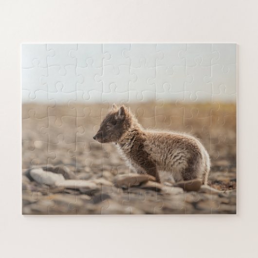 Arctic Fox Legpuzzel (Horizontaal)