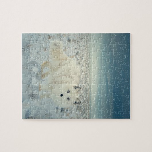 Arctic Fox Legpuzzel (Horizontaal)