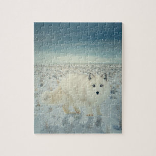 Arctic Fox Legpuzzel