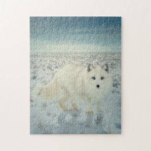 Arctic Fox Legpuzzel