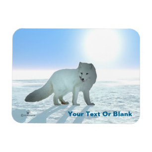 Arctic Fox Magneet