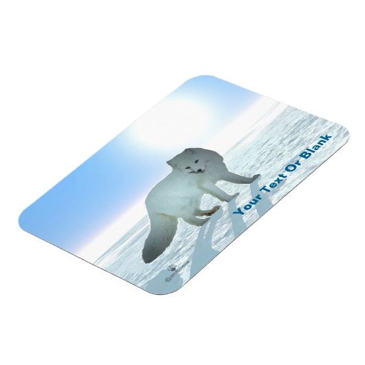 Arctic Fox Magneet (Linkerzijde)