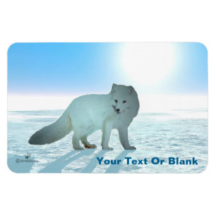 Arctic Fox Magneet