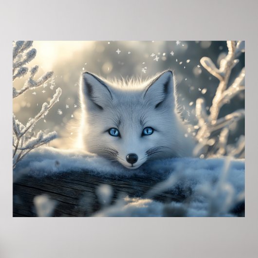 Arctic Fox met betoverende blauwe ogen Poster (Voorkant)