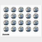 Arctic Fox met betoverende blauwe ogen Ronde Sticker (Vel)