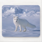 Arctic Fox Muismat (Voorkant)
