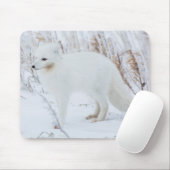 Arctic Fox Muismat (Met muis)
