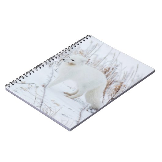 Arctic Fox Notitieboek (Linkerzijde)