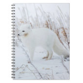 Arctic Fox Notitieboek (Voorkant)