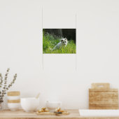 Arctic Fox Poster (Keuken)