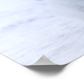 Arctic Fox Poster (Hoek)