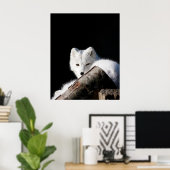 Arctic Fox Poster (Thuiskantoor)