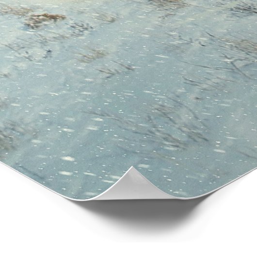 Arctic Fox Poster (Hoek)