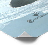 Arctic Fox Poster (Hoek)