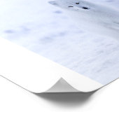 Arctic Fox Poster (Hoek)