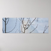Arctic Fox Poster (Voorkant)