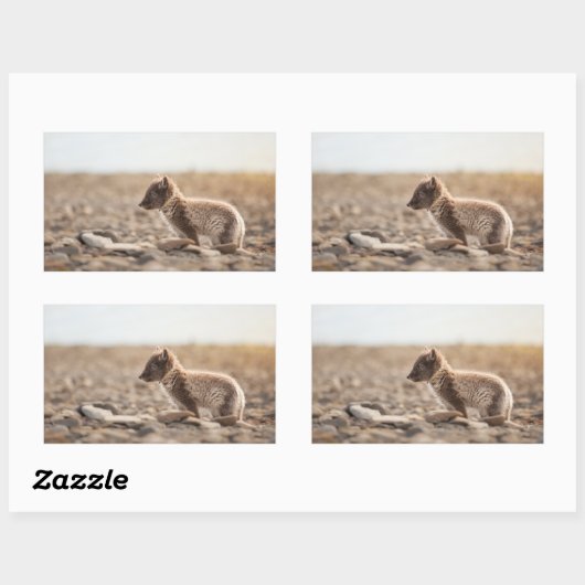 Arctic Fox Rechthoekige Sticker (Vel)