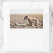 Arctic Fox Rechthoekige Sticker (Tas)