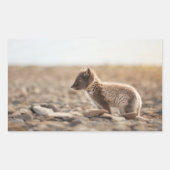 Arctic Fox Rechthoekige Sticker (Voorkant)