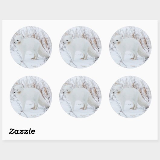 Arctic Fox Ronde Sticker (Vel)