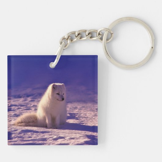 Arctic Fox Sleutelhanger (Achterkant)