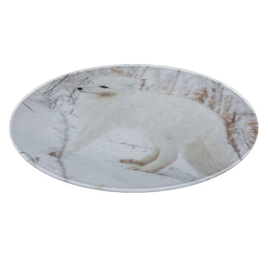 Arctic Fox Snijplank (Hoek)