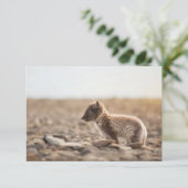 Arctic Fox Spitsbergen Kaart (Staand voorkant)