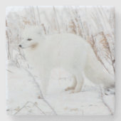 Arctic Fox Stenen Onderzetter (Voorkant)