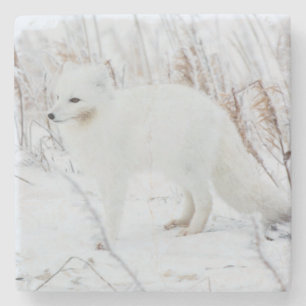 Arctic Fox Stenen Onderzetter