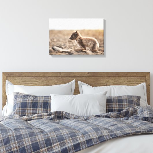 Arctic Fox Svalbard Canvas Afdruk (Insitu (Slaapkamer))