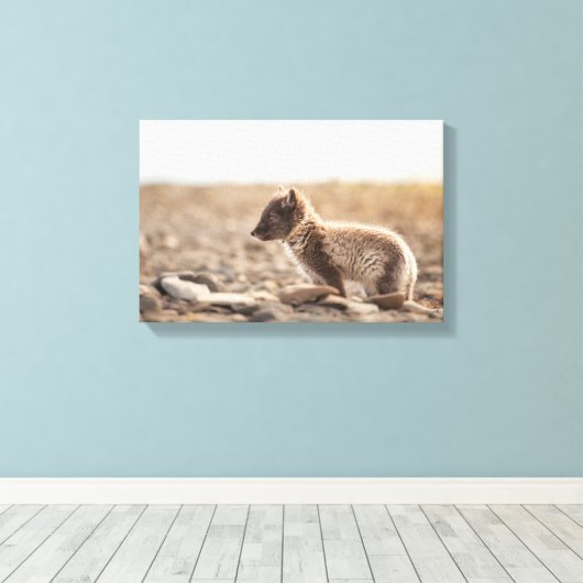 Arctic Fox Svalbard Canvas Afdruk (Insitu (Houten vloer))