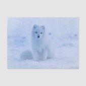 arctic fox tissue paper tissuepapier (Voorkant)