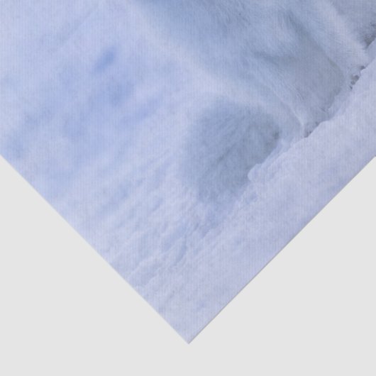 arctic fox tissue paper tissuepapier (Detail)