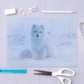 arctic fox tissue paper tissuepapier (Craft)
