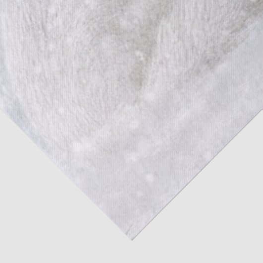 Arctic Fox Tissuepapier (Detail)