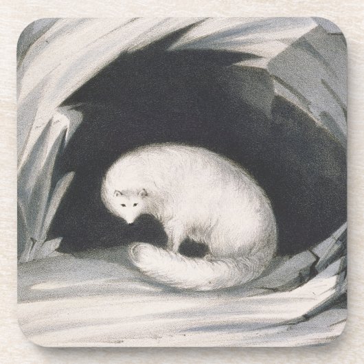 Arctic Fox uit 'Narrative of a Second Reyage in Bier Onderzetter (Voorkant)