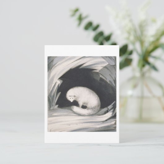 Arctic Fox uit 'Narrative of a Second Reyage in Briefkaart (Staand voorkant)