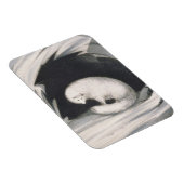 Arctic Fox uit 'Narrative of a Second Reyage in Magneet (Rechterzijde)