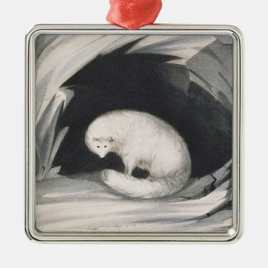 Arctic Fox uit 'Narrative of a Second Reyage in Metalen Ornament (Voorkant)