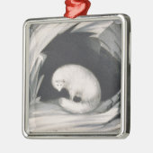 Arctic Fox uit 'Narrative of a Second Reyage in Metalen Ornament (Links)